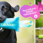 treenitarvikkeet sporttirakki