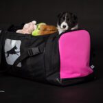 Pentu pinkin ProPakin kanssa