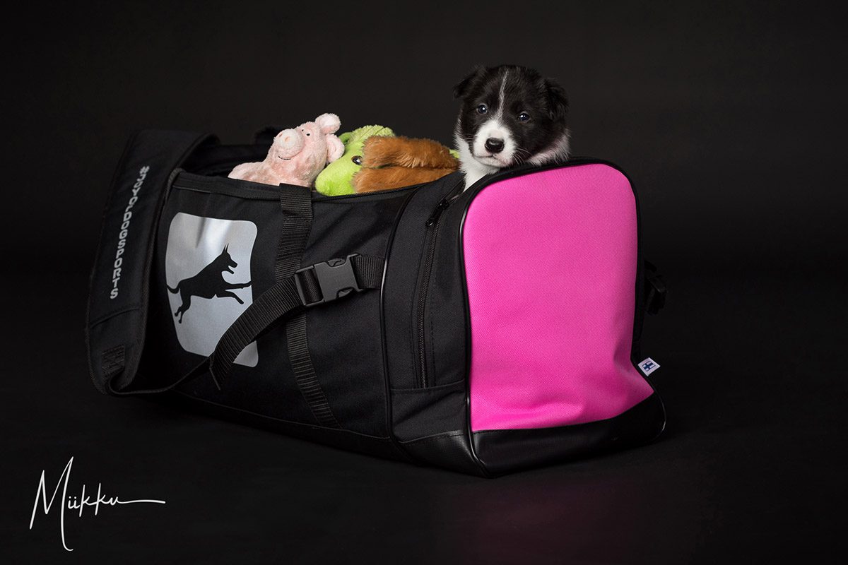 Pentu pinkin ProPakin kanssa