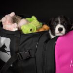 Pinkki ProPakki ja pentu