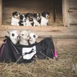 ProPakki pinkki laukku sommittelu