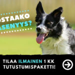 tutustumiskampanja_ilmainen