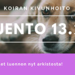 kipuluento osa 2 kivunhoito joko katsoit