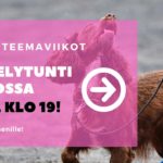 rally-tokon teemaviikot qa