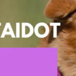 harrastuskoiran perustaidot nettikurssi banneri