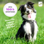 jasenyysmainos jo yli 100 h