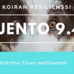 koiran resilienssi luento sporttirakki slider