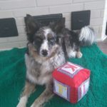 18595459_10154962943119442_1814828068787079684_o