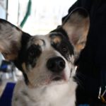 93797113_828413650986711_4982962529299857408_n