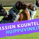 huippuvinkit nettikurssit slider