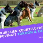 huippuvinkit_nettikurssit_toko_rally_kuuntelupaikka