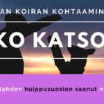 joko katsoit oman koiran kohtaaminen