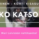 joko katsoit palkkausluento