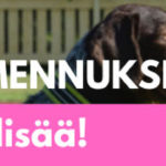 kevaan kurssien kuuntelupaikat