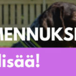 kevaan kurssien kuuntelupaikat avattu lisaa