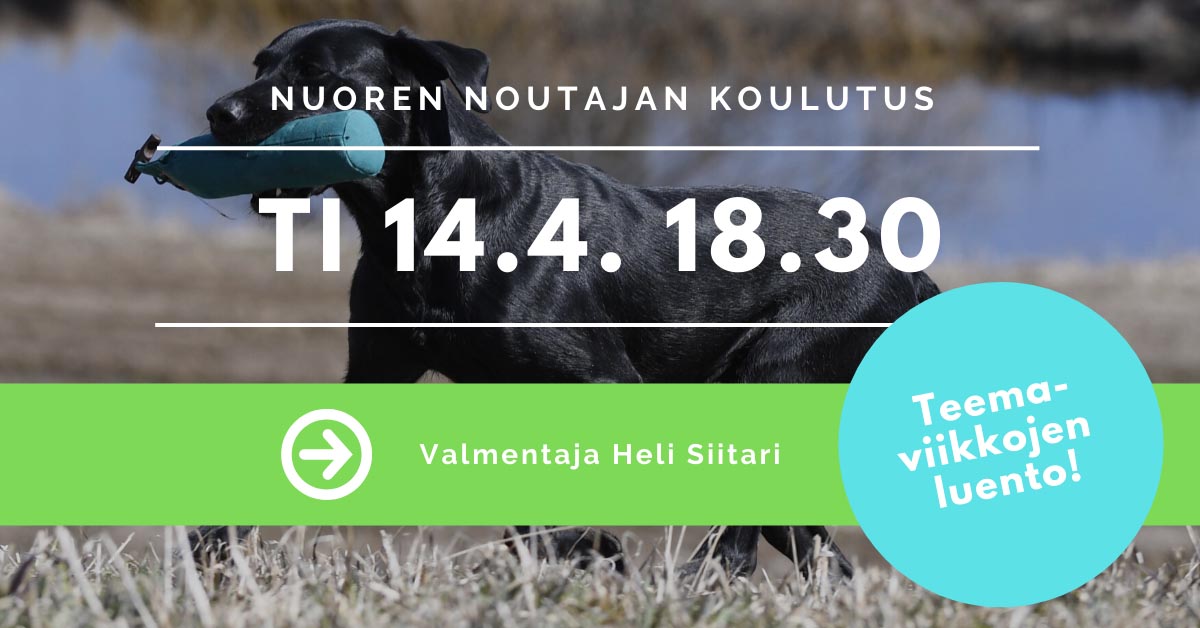 Nuoren Noutajan Kouluttaminen Luento - SporttiRakki