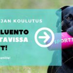 nuoren noutajan koulutus slider
