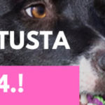 palkkausluento kisasuoritus kohti kisoja