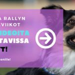 toko rally-toko vinkkivideot kuunteluharjoitukset