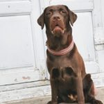 IMG_20200502_172550_988