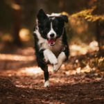 inbound4580975903779125086