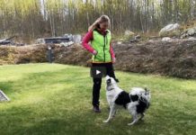 Vinkkivideo: Treenin aloitus