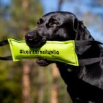 vauhti-patukka-koiraurheilunilo-vihrea