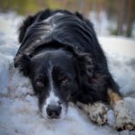 IMG_20190420_224517_081