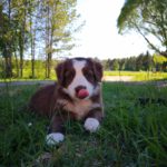 IMG_20200615_134601_410