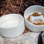 Paikka ruokakuppi ja juomakuppi