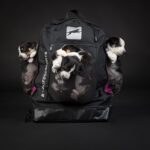 ProPakki Sportti ja pennut