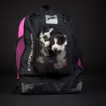 ProPakki Sportti reppu ja pennut