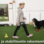 asentojen opettaminen