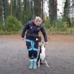 nain opetat noudon kisavalmiiksi