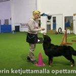 rally-toko-merkin-opettaminen