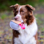 Nahkis nahkapallo pinkki aito nahka