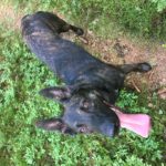 3A075281-8646-4712-A395-D0BC5D5E7E79