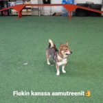 IMG_20200813_103626_288