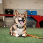 IMG_20200814_122546_796