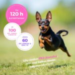 SporttiRakin PRO-jasenyys jo yli 120 tuntia katsottavaa