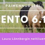 paimennusluento slider