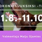 paloista kokonaisuuksiksi teemaviikot slider kopio