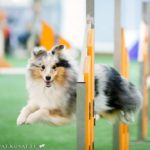 FB_IMG_1597086682778