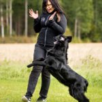 ProTreenari-harmaa-treeniliivi