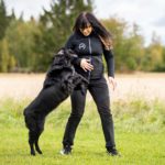 ProTreenari-harmaa-treeniliivi-koiraharrastraja