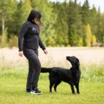 ProTreenari-koiraharrastajan-treeniliivi-SporttiRakki