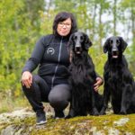 ProTreenari-treeniliivi-harmaa-koiraharrastajalle