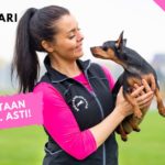 protreenari treeniliivi tarjouksessa