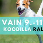 rallysm viikonloppu mainosbanneri