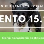 slider oman polun kulkeminen